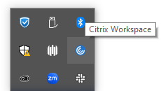 citrix 1.PNG